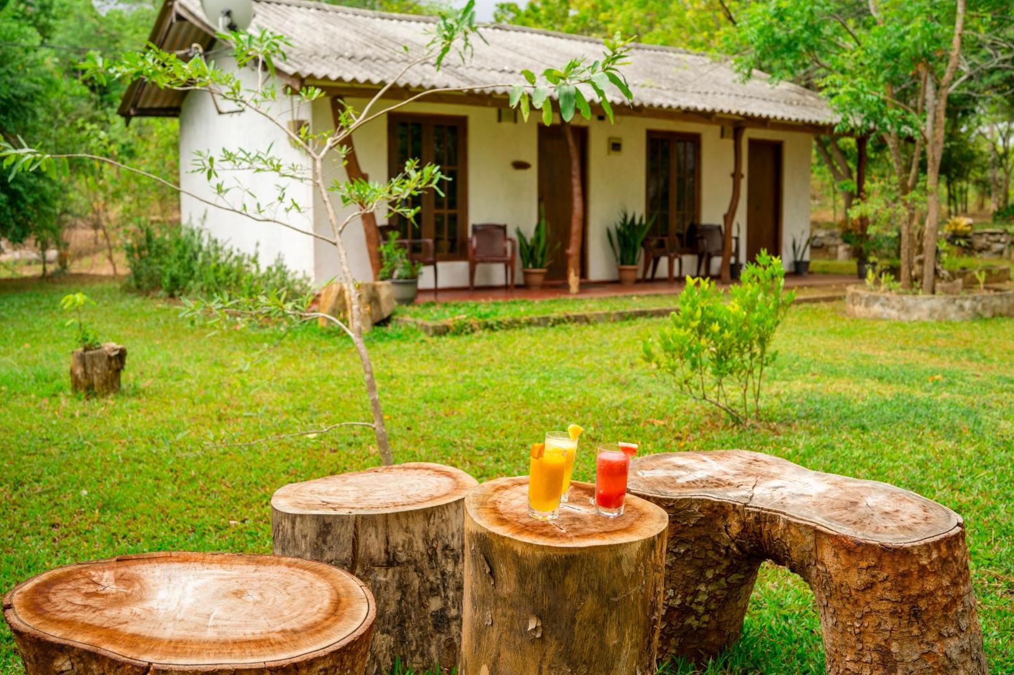Bed and Breakfast Wild Hut Хабарана Екстер'єр фото