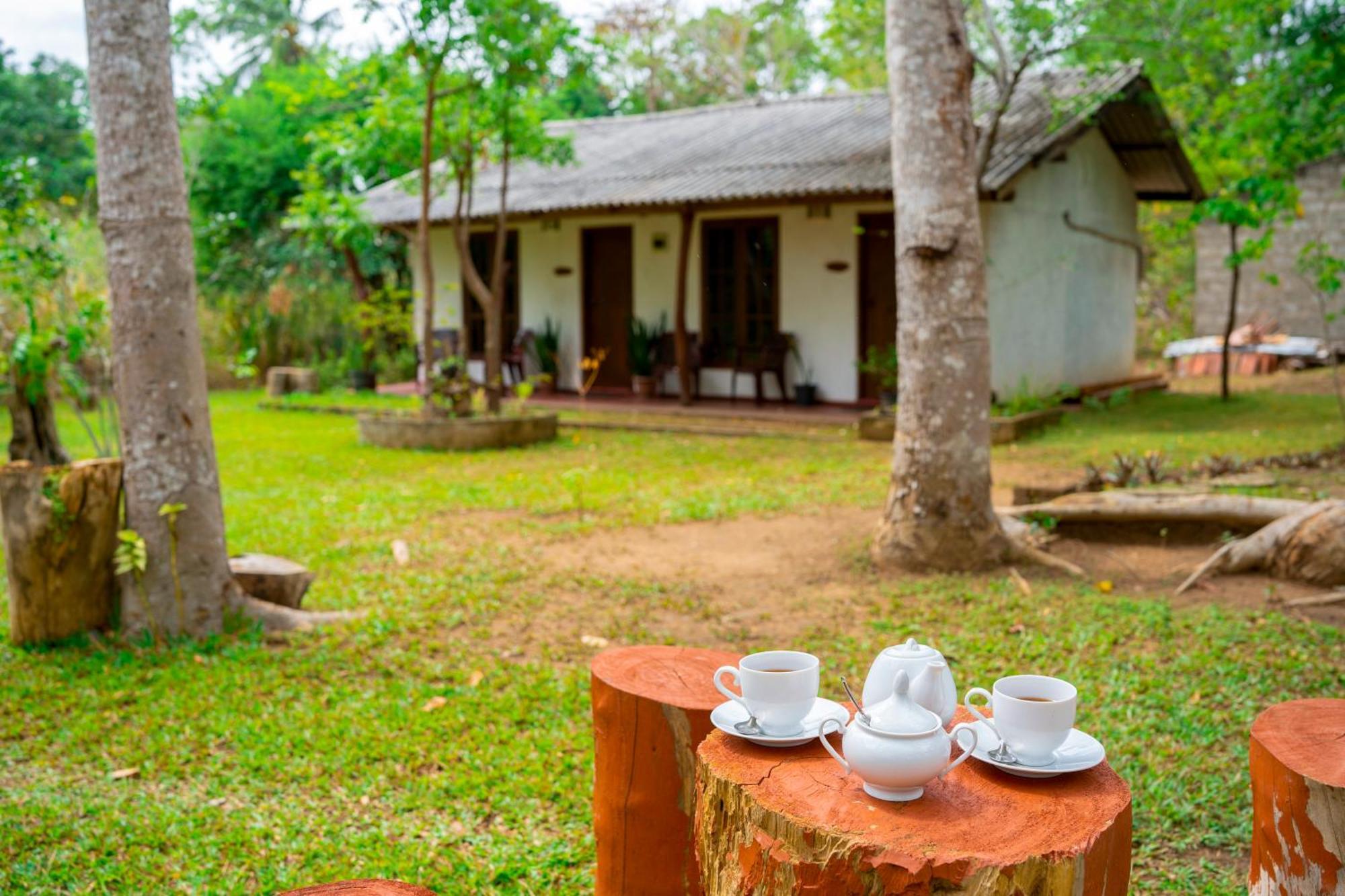 Bed and Breakfast Wild Hut Хабарана Екстер'єр фото